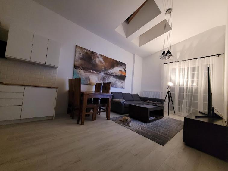 Apartament W Starym Mlynie Loft Rozanka Wroclaw Exterior photo
